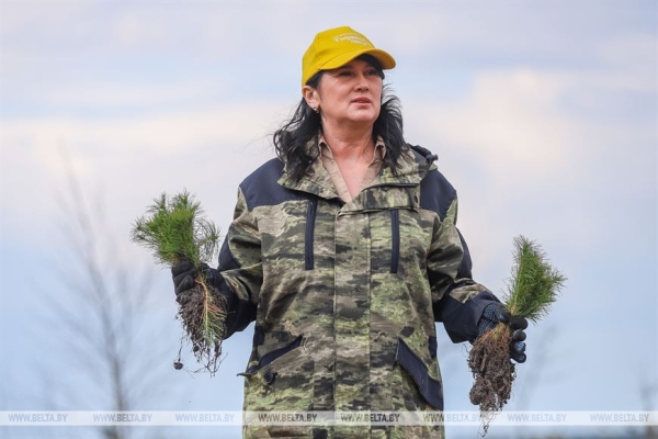 Более 15 тыс. жителей Брестской области поддержали акцию «Неделя леса»