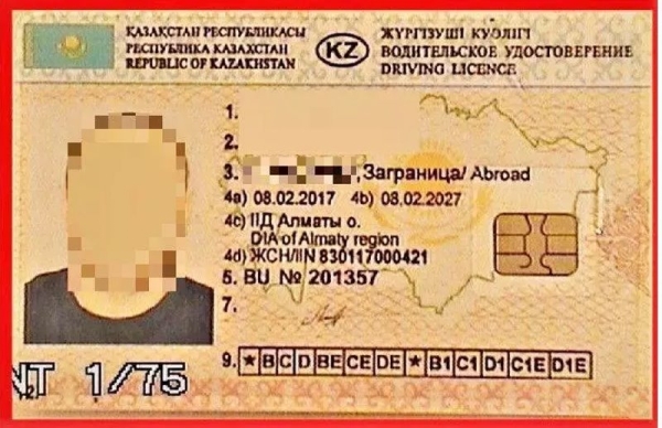 Белорус ехал в Литву пассажиром и показал пограничникам поддельные «права». Дальнобойщиком ему теперь не работать