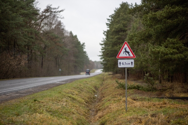 От испуга до «уголовки». Разбираемся, накажут ли водителя, если он сбил животное в зоне действия особого знака